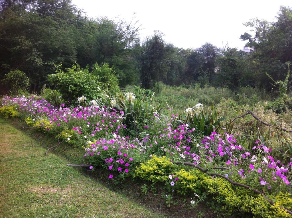 ホテルPeaceful Green Corner In Alipore コルカタ エクステリア 写真